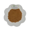 Nagykereskedelmi természetes gyógynövénykivonat szorongás és stressz enyhítés 10% withanolides ashwagandha1