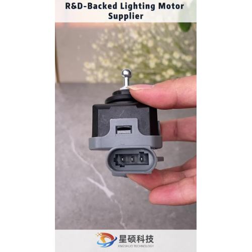 Pakar R&D untuk Motor Pencahayaan Auto