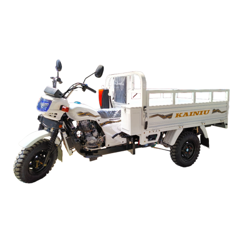 A indústria de exportação de triciclo vê canais de crescimento não convencionais em 2025