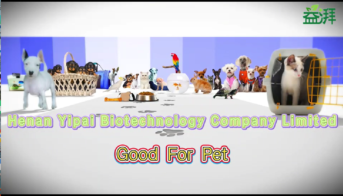 Introducción a Henan Yipai Biotechnology Co., Ltd.