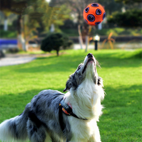 Los mejores juguetes de masticación naturales para perros