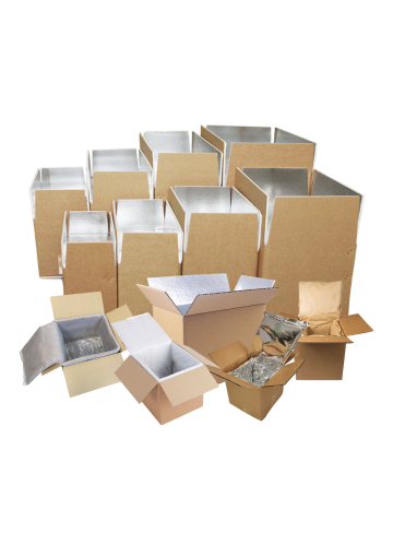 Insulated Shipping boxes