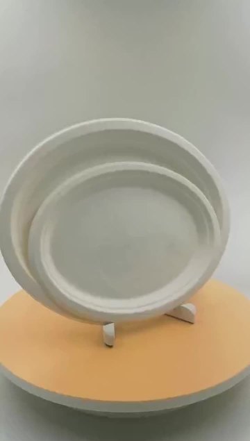 Bagasse Oval plate