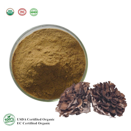 Organic Maitake Mushroom Extract Powder