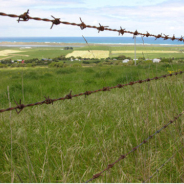 Top 10 China Galvanized Barbed Wire Manufacturers