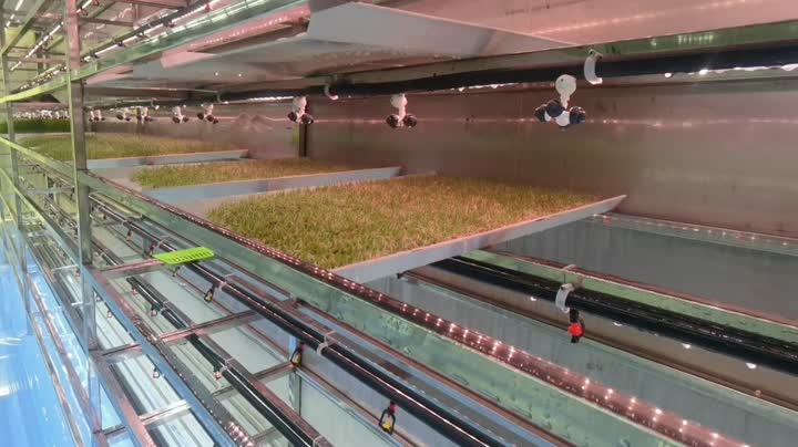 Видео интерьера контейнера для корма 6