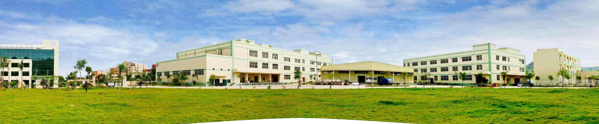 Hengshui Pioneer Imp & Exp Trading Co.,Ltd