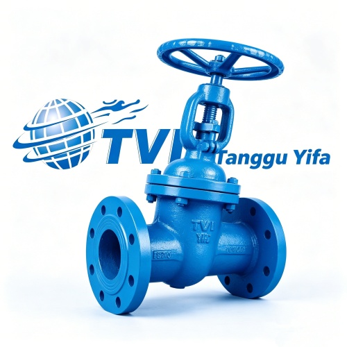 Tianjin Tanggu First Valve Co., Ltd.: достижение совершенства с помощью интеллектуальных технологий и глобального видения