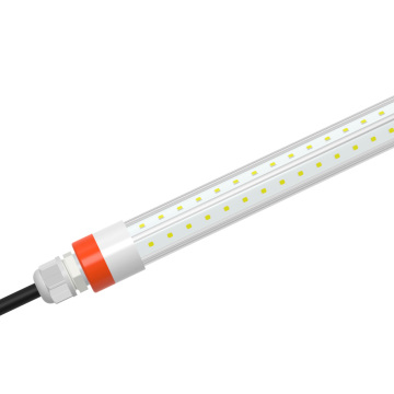 T8 Poultry Lighting Used in Breeder Farm