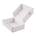 Source factory printing flute e-commerce packaging box corrugated cardboard shipping mail white label lock document mail box1