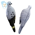 Foldable XPE Plastic Birds Dove Decoy with Clip for Hunting1