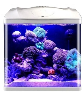 Mini Table Top Small Fish Tank