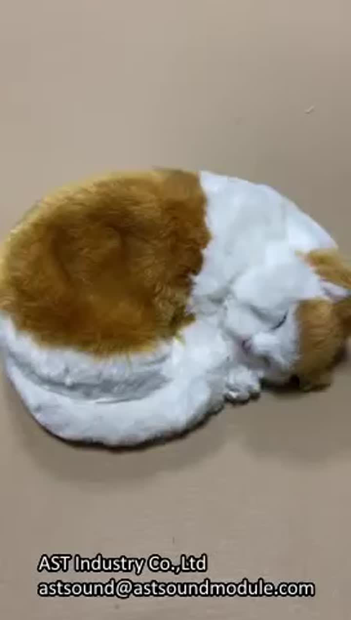 Emulation Sleeping Breathing Cute Cat Toy with Snore Sound.mp4