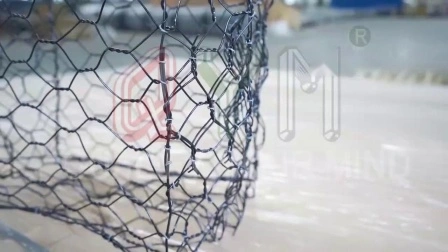Mesh di filo esagonale 01