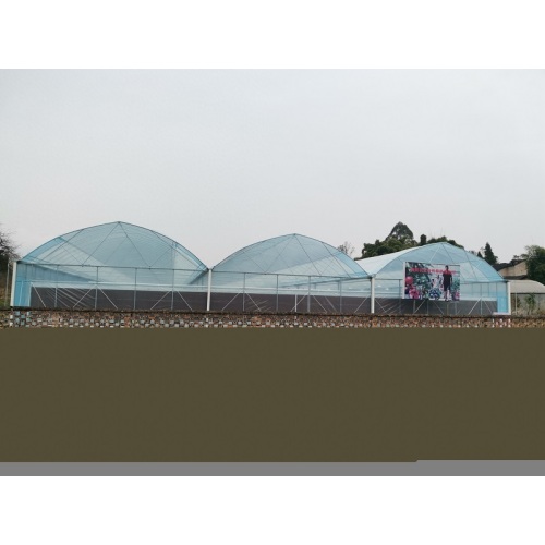 Potenciar el desarrollo de una agricultura inteligente moderna: el proyecto de invernadero de varios tramos Zhongxian de Qingcheng Agriculture se completó y entregó con éxito