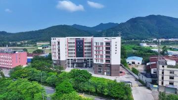 Company Profile