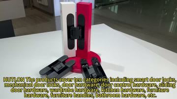 Concealed hinge2