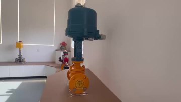 Electric single seat control valve