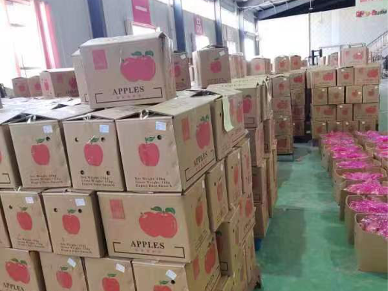 Guofu Technology Group Co., Ltd