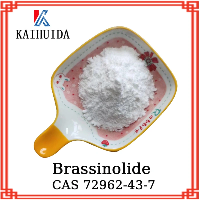 Υψηλής ποιότητας ρυθμιστής ανάπτυξης φυτών CAS 72962-43-7 Brassinolide