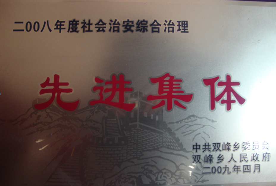 Advanced Collective of 2008