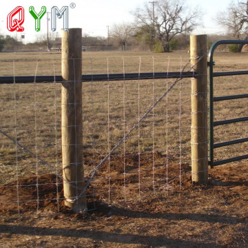 Ten Chinese Farm Field Fence Suppliers Popular in European and American Countries