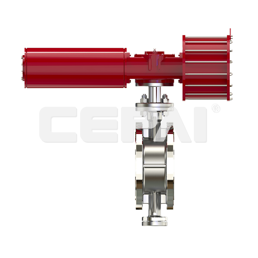 Pneumatic Single Seat Control Valve