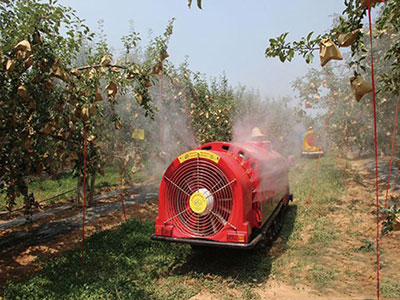 Ningxia hongxingda fruit industry