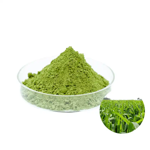 How To Take Wheatgrass Powder?