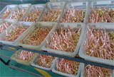 Grana Industry Metal Ltd.
