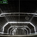 Film Tomato Hydroponic Indoor Grow Light Greenhouse Climate Control1