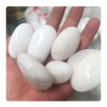 Wholesale High Polished Cobblestone for Outdoor Garden Flooring and Landscaping1