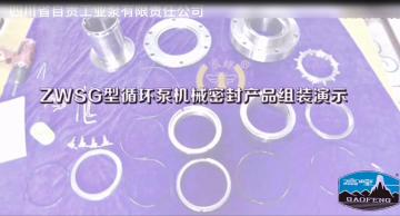Mechanical seal Video