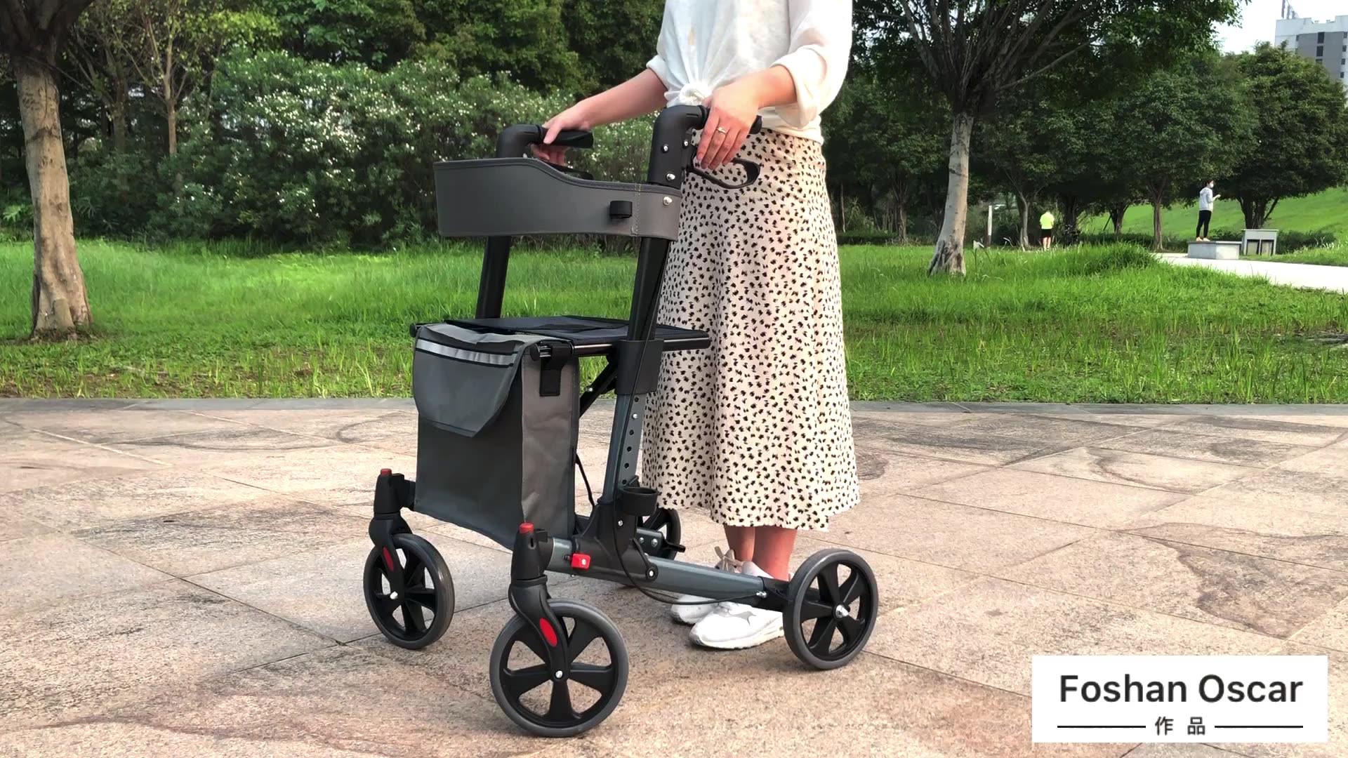 Oscar Rollator Walker Walker avec siège, mobilité pliante double aides avec des roues de 8 pouces TRA031