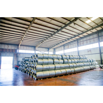 China Top 10 Electro Galvanized Steel Wire Brands