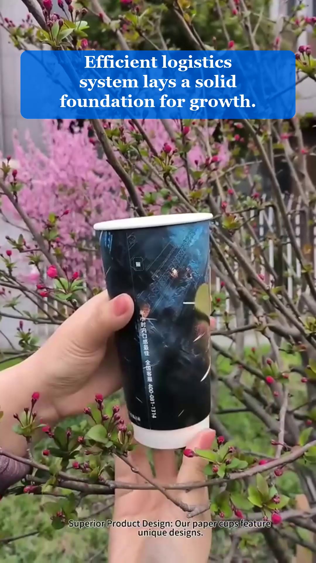 Vídeo 87