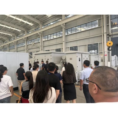 Компания Jiangsu Zhongshi Electrical Technology Co., Ltd. получила официальный сертификат правительства Судана, что способствует углублению китайско-суданского сотрудничества