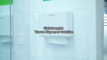 Paper Towel Dispenser