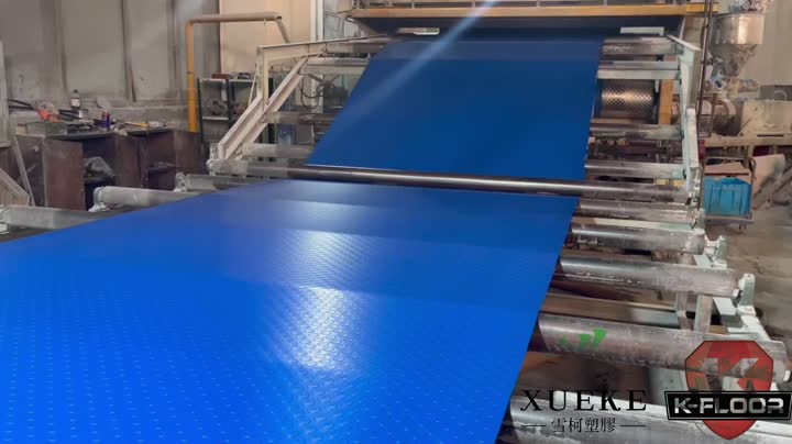 Rollos de piso de monedas de PVC