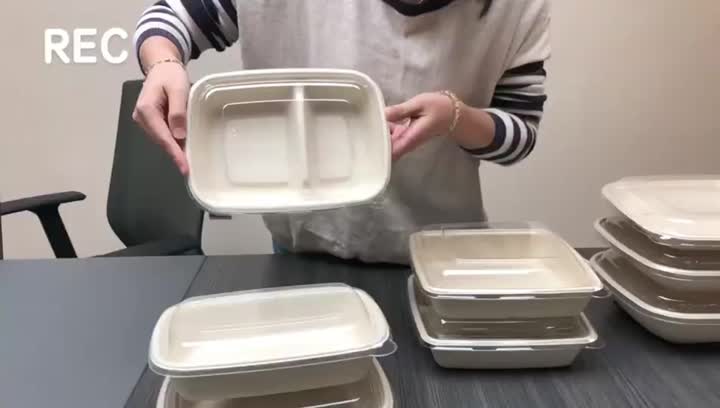 Biodegradable Square Plates