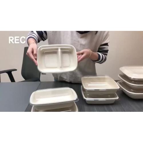 Biodegradable Square Plates