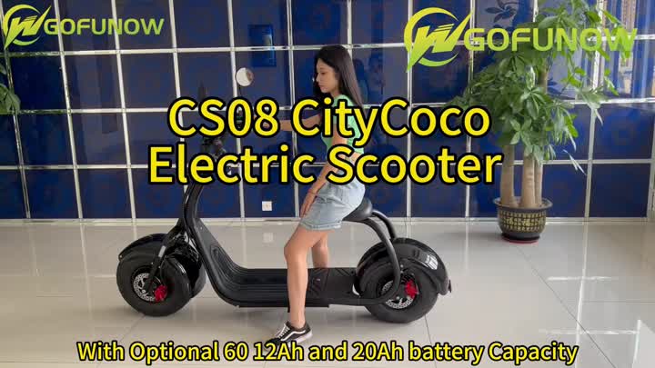 Bicicleta de scooter de ciclomotor eléctrica rápida CS08