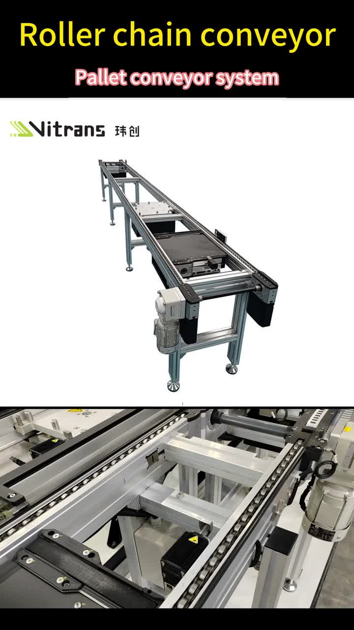 Accumulated Roller Chain Conveyor