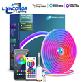 RGBIC Neon Strip Rope Light with Infrared Remote, 3M/5M, Compatible with Alexa, Google Assistant, and Yandex1