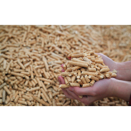 Ningxia: Promote the resource utilization of biomass energy and accelerate the promotion of biomass instead of loose coal for heating