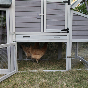 Coop de frango de madeira