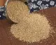 Quinua vs arroz