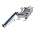Automatic 220V Hot Air Dehydrator Machine for Fruits and Vegetables1