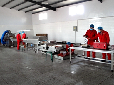 NINGXIA UNION-SURE CO., LTD. 