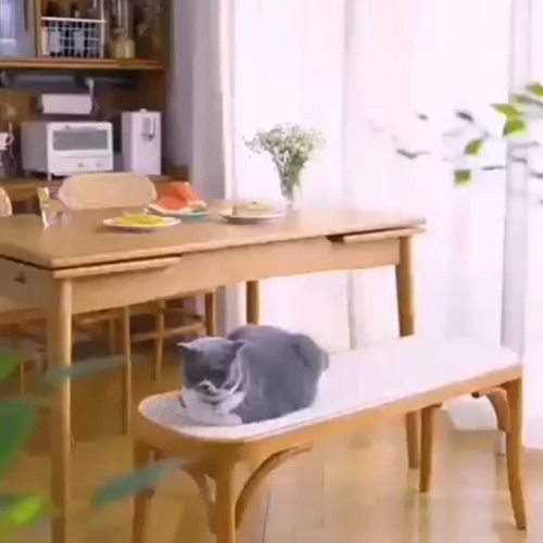 Banco de tecido nórdico